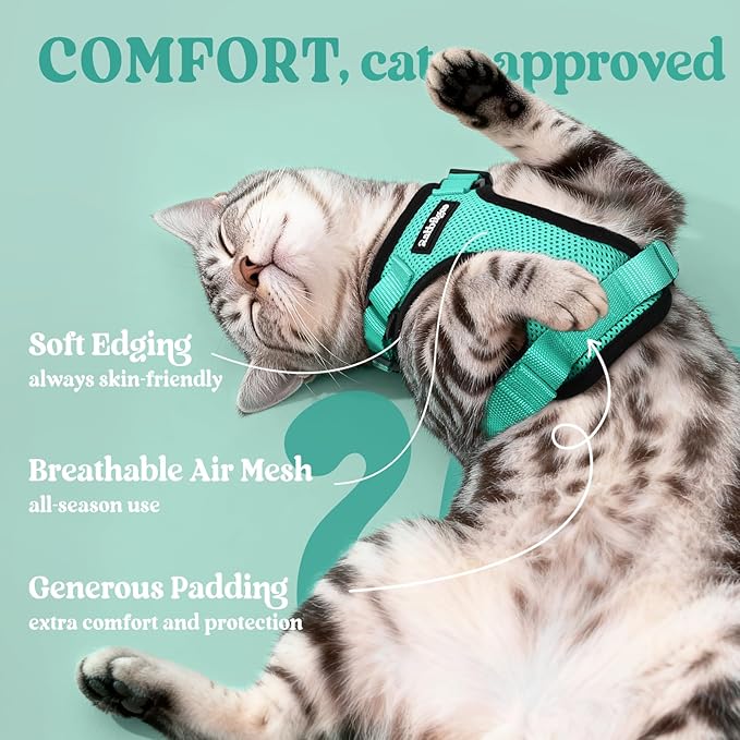 rabbitgoo Cat Harness and Leash for Walking, Escape Proof Soft Adjustable Vest Harnesses for Cats, Easy Control Breathable Reflective Strips Jacket, Emerald, XS