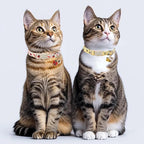 2 Pack Cute Cat Collars - Cartoon Bee Ladybug Breakaway Cat Collar with Bell & Matching Pendant, Adjustable Spring Summer Kitten Collars for Boy Girl Cats