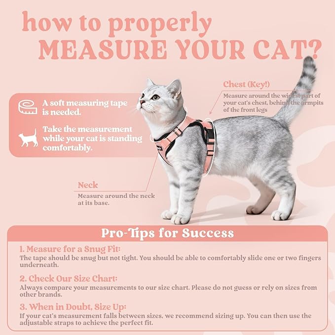 rabbitgoo Cat Harness and Leash for Walking, Escape Proof Soft Adjustable Vest Harnesses for Cats, Easy Control Breathable Reflective Strips Jacket, Light Salmon Pink, M
