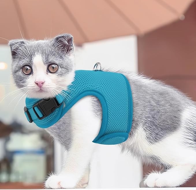 MoNiBloom Soft Cat Harness for Walking Escape Proof and Travel, Kitten Adjustable Breathable Vest Harness - Sky Blue, L