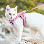 Dooradar Cat Harness and Leash Set, Escape Proof Lightweight Kitten Harness, Soft Breathable Reflective Vest for Outdoor Walking Traveling, Adjustable for Large Cats, Purple & Pink, L
