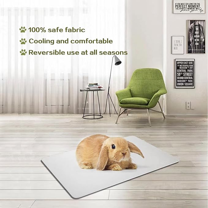 11.8x7.9 IN Pet Cooling Mat for Rabbit, Bunny, Hamster, Guinea Pig & Other Small Pets - Bite Resistance Ice Bed (2PCS)