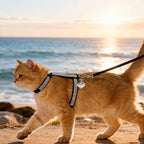 EXPAWLORER Cat Harness and Leash Set - Escape Proof Adjustable Cat Harness, H-shped Comfortable Soft Lightweight Kitten Harness for Outdoor Walking, for Small Medium Cats,Black Rhinestones M