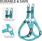 PUPTECK No Pull Dog Harness Soft Adjustable Basic Nylon Step in Puppy Vest Outdoor Walking with ID Tag, Moon Star Sky Blue, S