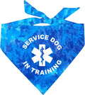 Service Dog in Training Dog Bandana (Royal Scrunch, OS289)