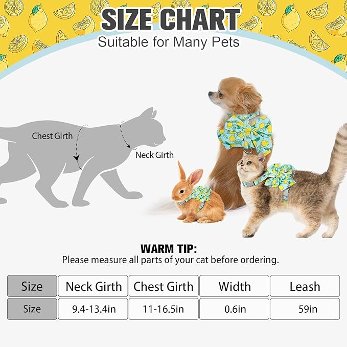PAWCHIE Cat Harness and Leash Set with Bow Knot,Cats Escape Proof - Adjustable Daisy Floral Kitten Harness Soft Outdoor Walking Travel Pet Harness,Puppy Harness for Girl Cats Bunny Rabbit Small Dog