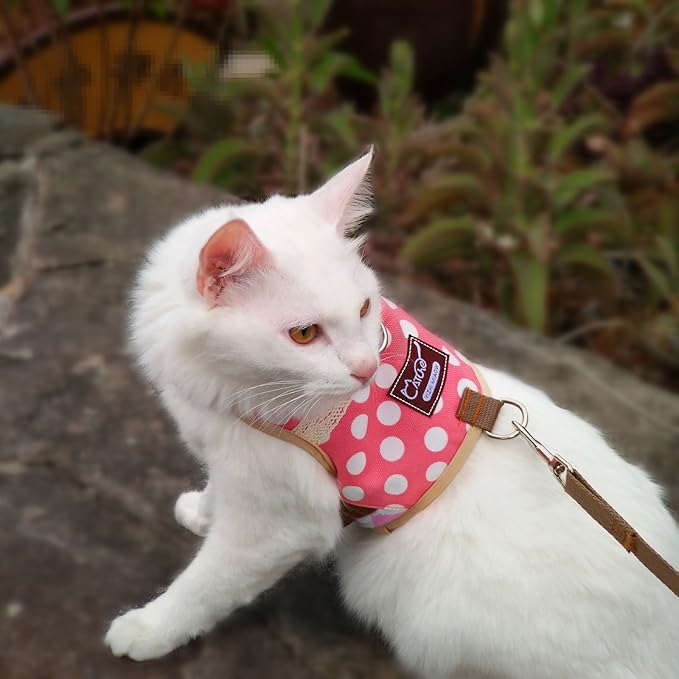 Cat Harness and Leash for Walking Escape Proof, Adjustable Cat Vest Harness, Padded Stylish Cat Walking Jackets, Polka Dot Pink, Small