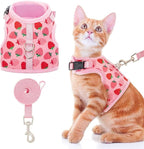 BINGPET Cat Harness with Leash Escape Proof - Fashionable Mesh Cat Dog Walking Harness Leads, Adjustable for Kitties Puppies Small Animals