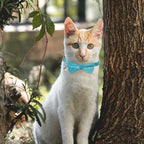 Sliverdew 2 Pcs Velvet Cat Bow Tie Collar Breakaway Cat Collar with Bell Adjustable Bowtie Kitten Small Puppy Safety Collar Solid Color Set Pet Bow Tie Collar (Pink, Blue)