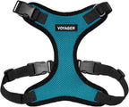 Voyager Step-in Pet Harness - All Weather Mesh, Adjustable Step in Harness for Cats and Dogs by Best Pet Supplies - Turquoise/Black Trim, XL