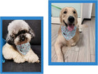 ARING PET Summer Dog Bandanas, Light Blue Flamingo Kerchief Triangle Bibs Scarf for Puppy Small Medium Large Boy Girl Dogs Cats-L