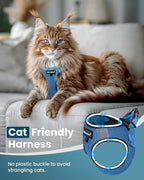 FAYOGOO Cat Harness, Cat Leash and Harness Set for Walking Escape Proof, Harness for Small Cats/Small Dogs, Large Kitten/Puppy Harness and Leash, Harness for Cats S-XXL(Tranquil Teal, Medium)