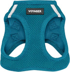 Best Pet Supplies Voyager Step-in Air Harness - All Weather Mesh, Reflective, No Pull Harness for Dogs, Cats - Secure with Hook & Loop Fastener, Buckle, Double D-Rings - Turquoise, XXXS