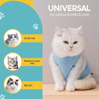 Avont Cat Recovery Suit - Kitten Onesie for Cats After Surgery, Cone of Shame Alternative Surgical Spay Suit for Female Cat, Post-Surgery or Skin Diseases Protection -Blue(L)