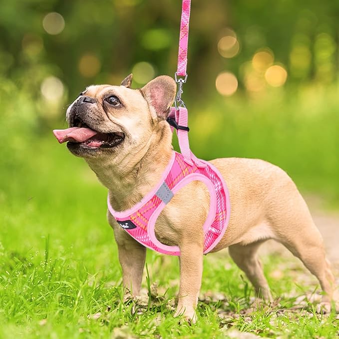 PUPTECK Dog Harness and Leash Set for Small Medium Dogs No Pull Step-in Soft Mesh Puppy Cat Vest Harnesses Reflective at Night, Plaid Pattern Pink S