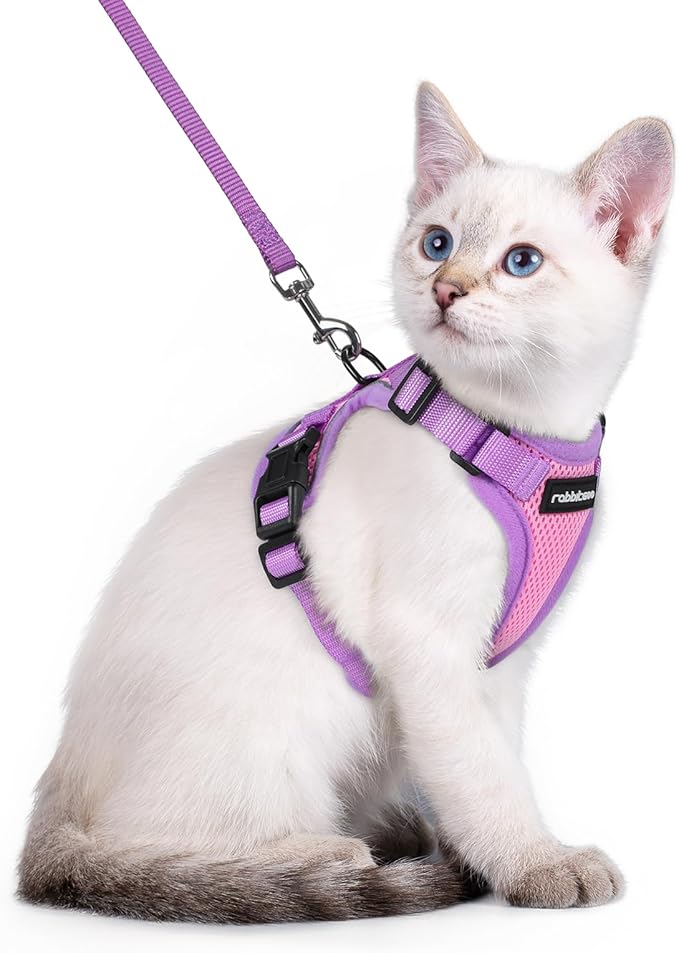rabbitgoo Cat Harness and Leash Set, Escape Proof Soft Adjustable Vest Harnesses for Outdoor Walking, Easy Control Breathable Kitten Jacket with Reflective Strips, Pink & Purple, XXS