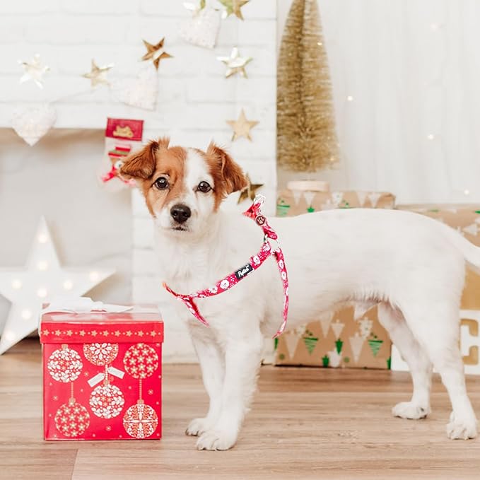 PUPTECK No Pull Christmas Dog Harness Soft Adjustable Basic Nylon Step in Puppy Vest Outdoor Walking with ID Tag, Red, S