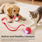 Interactive Electric Automatic Rolling Moving USB Rechargeable Self Activated Play Stimulation Toy Smart Chase Teaser Ball with Speedy Tail Rope for Bored Adult Indoor Cats and Dogs, Blue