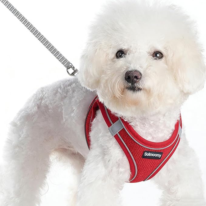 Solmoony Sparkly XXXS Dog Harness and Leash Set, Step in Soft Light Puppy Vest, Breathable Reflective Pet Harness for Walking, Puppy Harness for Small Dogs Cats (Red, XXXS)