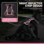 Cat Harness and Leash Set - Escape Proof, Adjustable Breathable Vest Harnesses with Reflective Strips, Easy Control & Secure Walking for Small Medium Large Cats Kitten Collar (Pink, Medium)