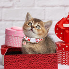 2 Pack Valentine's Day Cat Collar with Bell,Unique Style Paws Valentine's Day Cat Collar with Breakaway Buckle,Adjustable Puppy Collar with Cute Heat Love Pattern,Ideal Gift for Boy Girl Cats
