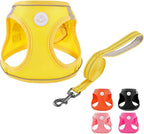 Soft Mesh Dog Harness and Leash Set, No Pull Puppy Harness and Leash Set, Reflective Step in Harness for Small Medium Dogs, Easy Walk Escape Proof Vest Harnesses (Yellow, XXS)
