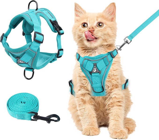 Wanheart Summer cat Chest Harness and Leash, Anti-Escape Adjustable Soft mesh cat Leash and Chest Harness Set for All Types of Cats cat Vests (Emerald, S)