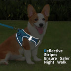 Step in Dog Harness with Leash Set, Adjustable Soft Padded and Breathable Mesh for Small Sized Dog, Reflective No Pull No Choke Cat Vest Harness, Easy Control Pet Vest, Blue L
