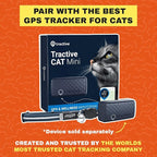 Travel CAT The Pathfinder Cat Harness with GPS Tracker Pocket - Powered by Tractive Cat Harness Escape Proof - Walking Escape Proof Harness for Small, Large Cat, Kitten (Blue, Small)