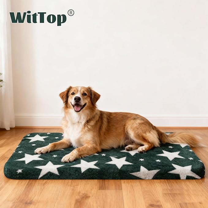 Washable Dog Bed Plush Orthopedic Outdoor Crate Mat with Non-Slip Bottom,Luxe Soft Kennel Pad for Pets, Cozy Cage Cushion & Pet Sleeping Mattress Large Sized,Medium,Small Dogs,36x24 inch,Green