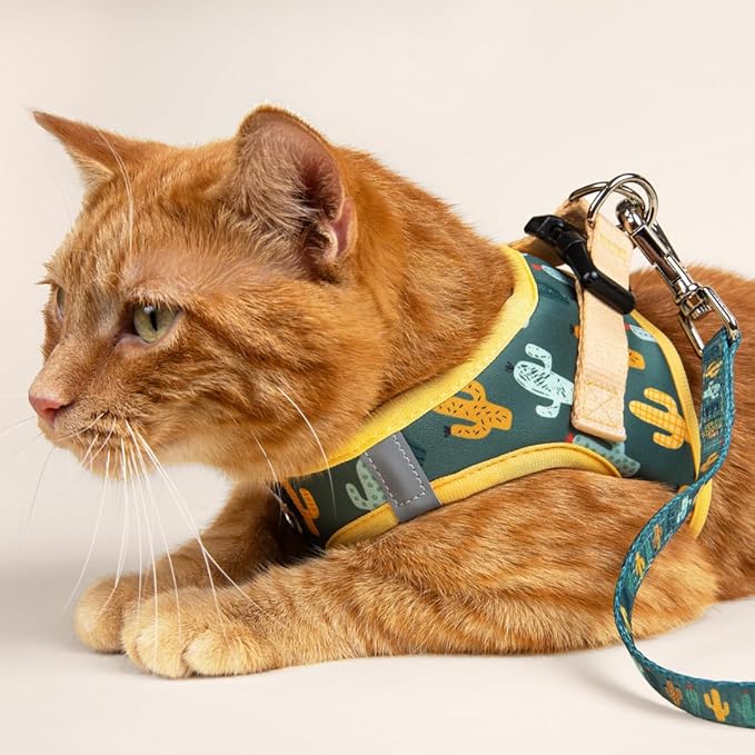 Lucy & Co. Looking Sharp Step-in Cat Harness & Leash Bundle – Reflective, Breathable & Adjustable Harness for Cats, Kittens & Small Dogs, Lightweight & Secure and Dual Leash Clips – X-Small