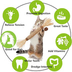 Cat Toys 10Pack Silvervine Chew Stick Kitten Treat Catnip Matatabi Toy Kitty Natural Stuff Catnip for Cleaning Teeth Indoor Dental Snack Interactive
