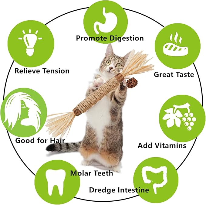 Cat Toys 10Pack Silvervine Chew Stick Kitten Treat Catnip Matatabi Toy Kitty Natural Stuff Catnip for Cleaning Teeth Indoor Dental Snack Interactive