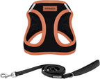 Best Pet Supplies Voyager Step-in Air All Weather Mesh Harness and Reflective Dog 5 ft Leash Combo with Neoprene Handle, for Small, Medium and Large Breed Puppies - Black/Orange Trim, Large