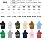 Personalized Name Dog Hoodie, Embroidered Hoodies Pets Name, Custom Pet Memorial, Bright Puppy Sweatshirt, Customized Pet Clothes Warm Winter Outfit for Dogs, Gift for Dog Lovers Style 2