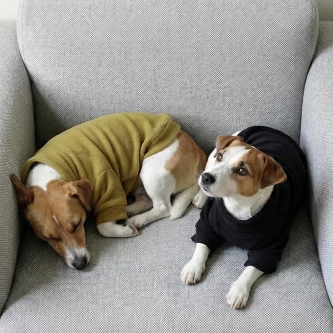 Fitwarm 3 Pack Classic Fleece Dog Sweater, Winter Clothes for Small Dogs Boy Girl, Turtleneck Dog Sweatshirt, Pet Pullover Jumper, Cat Apparel, Black, Olive Green, Cream, XS