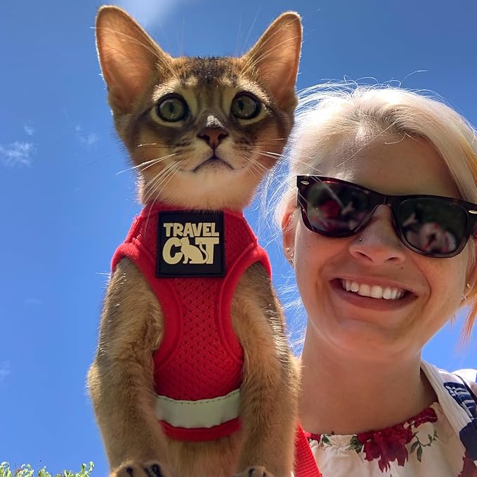 Travel Cat Harness and Leash Set - Adjustable Fit Mesh Cat Harness and Reflective Strap - Comfort Walking Vest for Kitten for Outdoor Walking, Hiking (Small, Red)