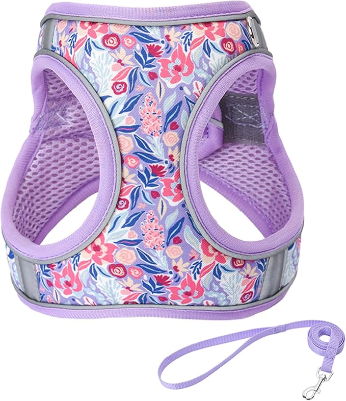 Light Purple Flower Pattern Dog Harness and Leash Set,No Escape Puppy Harnesses for Training Walking，Breathable Adjustable Puppy Vest for Small Medium Dogs, Cats (Light Purple, XXS)