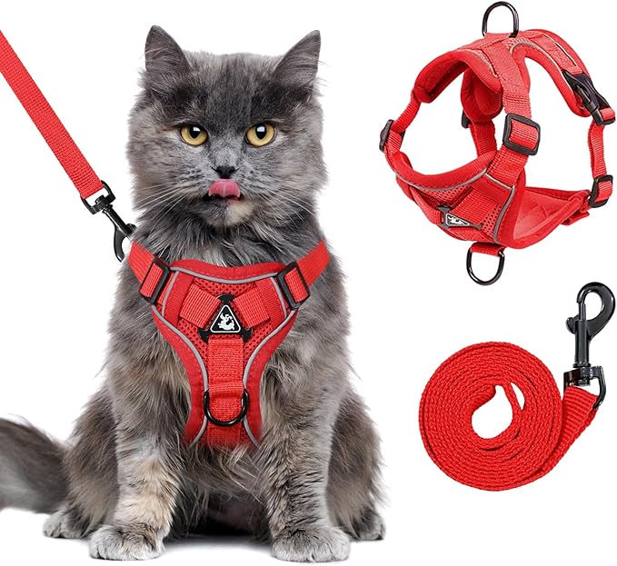 Escape Proof Kitten Harness and Leash Set - Adjustable Soft Mesh Vest for Small Cats, Reflective Breathable Walking Harness with 4 Buckles