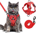 Large Cat Harness and Leash Set for Walking - Escape Proof Adjustable Vest, Reflective Breathable Mesh with 4 Buckles for Big Cats