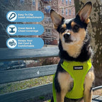 Voyager Step-in Pet Harness - All Weather Mesh, Adjustable Step in Harness for Cats and Dogs by Best Pet Supplies - Lime Green, XL