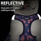 PUPTECK Dog Harness and Leash Set for Small Medium Dogs No Pull Step-in Soft Mesh Puppy Cat Vest Harnesses Reflective at Night, Stars and Strips, Blue, M
