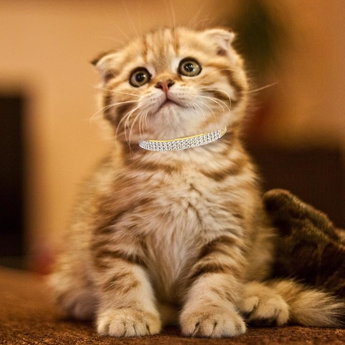PUPTECK Basic Adjustable Cat Collar with Bling Diamond and Double Bells, for Kitten and Small Puppy, Fashion and Shining Dog Rhinestone Collars, 6-8 in, Gold