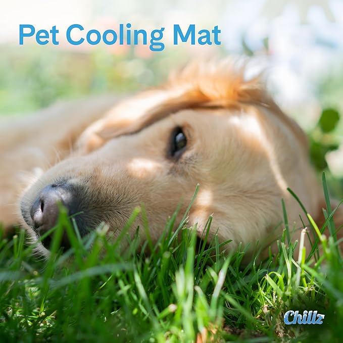 The Green Pet Shop Chillz Gel Mat, Large - Pressure-Activated Cooling Pad for Pets 25-50 lbs - Non-Toxic, No Water or Refrigeration Needed - Ideal for Home, Travel & Crates
