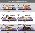 Patas Lague Orthopedic Jumbo Dog Bed for Large Sized Dog 56''X40'', Soft Waterproof Egg Crate Foam Large Pet Crate Beds Mat with Removable Washable Cover and Non-Slip Bottom, Purple