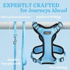 rabbitgoo Cat Harness and Leash for Walking, Escape Proof Soft Adjustable Vest Harnesses for Cats, Easy Control Breathable Reflective Strips Jacket, Light Blue, S