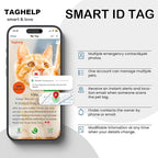 Reflective-Breakaway Cat Collars with Bells with QR Code Name Tag, Cat ID Tag Personalized,Adjustable Small,Ideal for Girl Cats Male Cats Kittens Puppies (Black B,Collar Only)