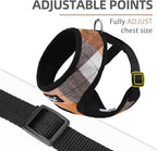 PUPTECK Soft Mesh Dog Harness and Leash Set Pet Puppy Cat Comfort Padded Vest No Pull Harnesses, Orange, M