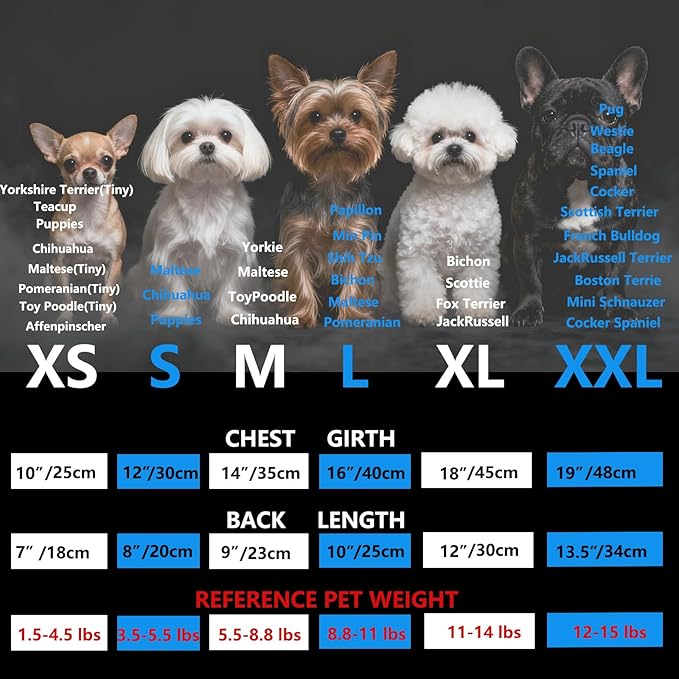 Puppy Clothes for Small Dogs Boy,Classic Western Denim Dog Coat,Dog Jeans Jacket with Leash D-Ring,Pet Cat Costumes,Cooling Harness Vest for Walking (Blue, X-Large)