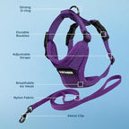 Voyager Escape-Proof Step-in Lock Cat Harness & 5ft Neoprene-Handle Leash Set All-Weather Mesh with Reflective Stitching for Small to Large Cats by Best Pet Supplies, Purple, S